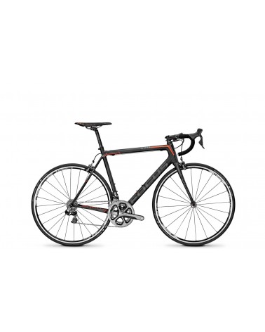 Focus izalco 2024 max 1.0