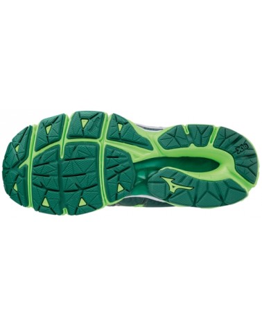 Zapatillas Running Mizuno Wave Horizon 2017 Hombre