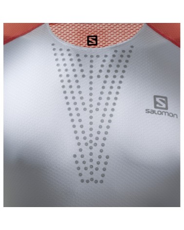 Camiseta Salomon S-Lab Exo Zip Tee Hombre