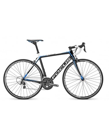 Focus Cayo Tiagra 2016